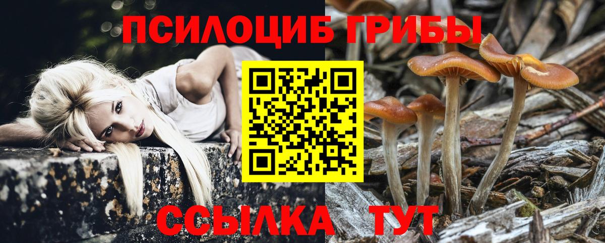 Галлюциногенные грибы прущие грибы Симферополь